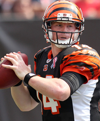 Andy Dalton